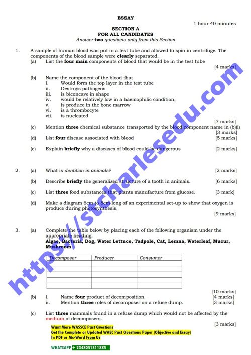 waec biology theory essay questions and answers